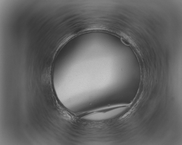 X0000076071137200610061555