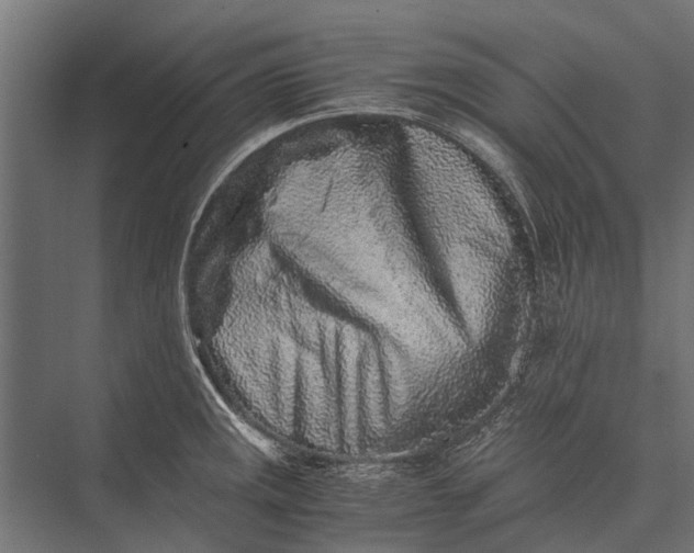 X0000076071141200610061555