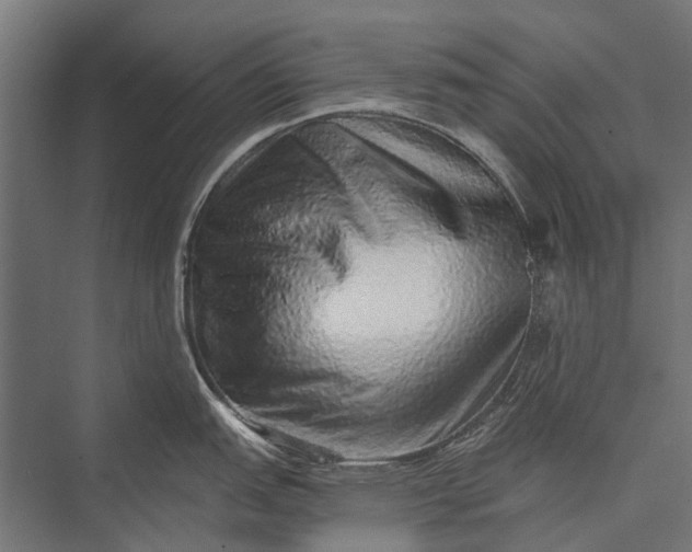 X0000076071151200610061555