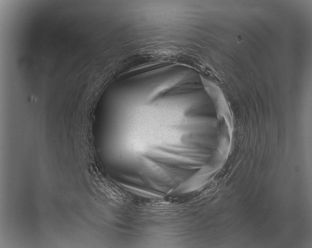 X0000076071153200610061555
