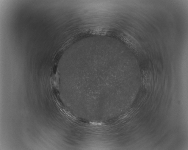 X0000076071154200610061555