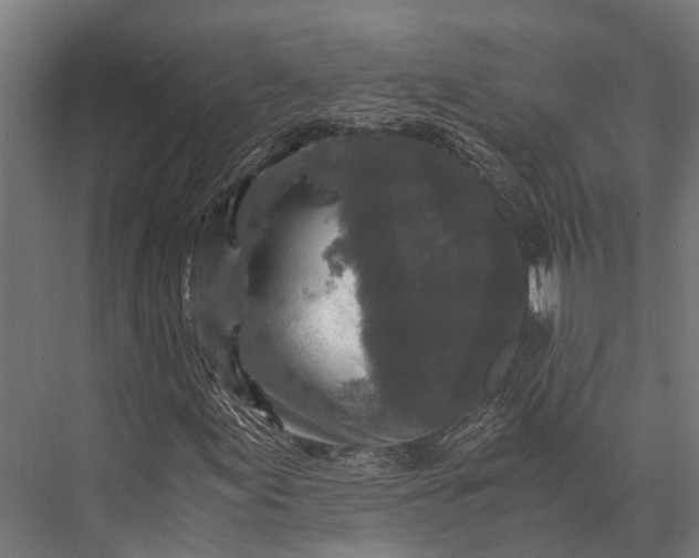 X0000076071155200610061555