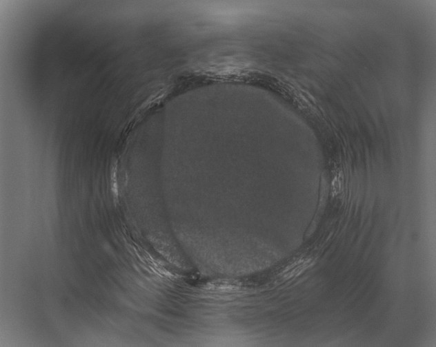 X0000076071156200610061554
