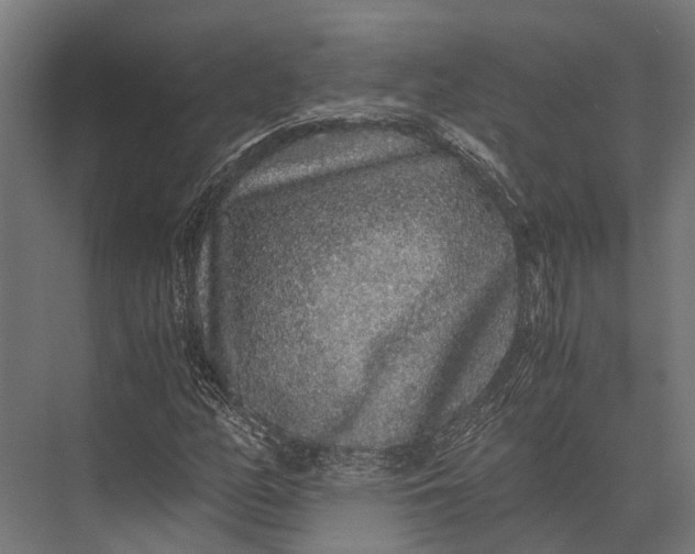 X0000076071158200610061554