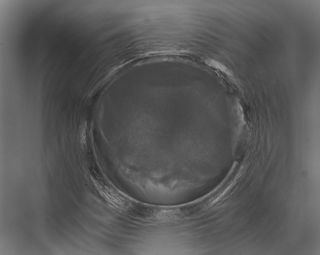 X0000076071161200610061554