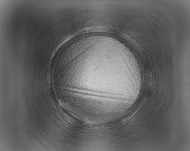 X0000076071166200610061554