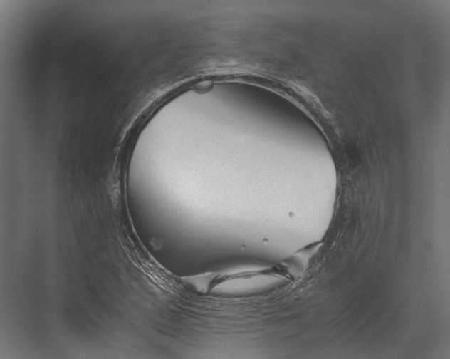 X0000076071167200610061554