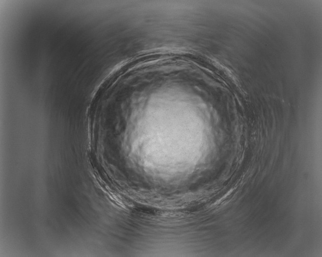 X0000076071171200610061554