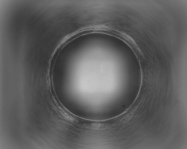 X0000076071176200610061554