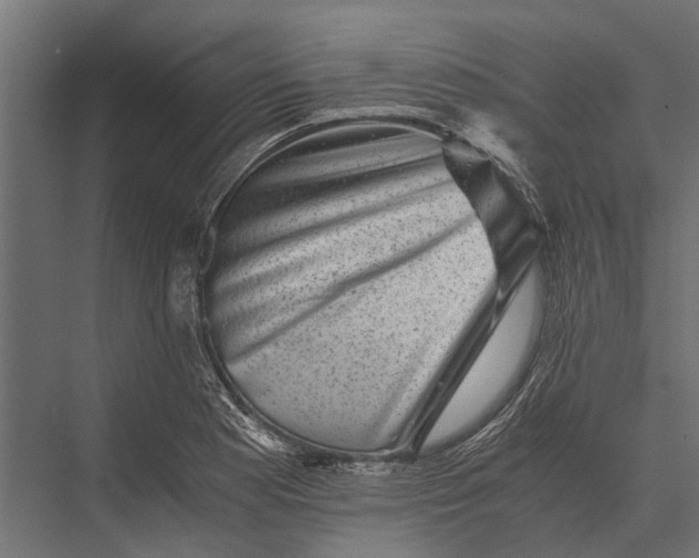 X0000076071177200610061554