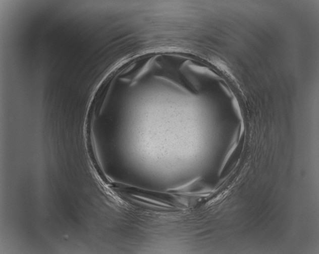 X0000076071181200610061554