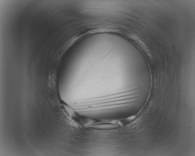 X0000076071185200610061554