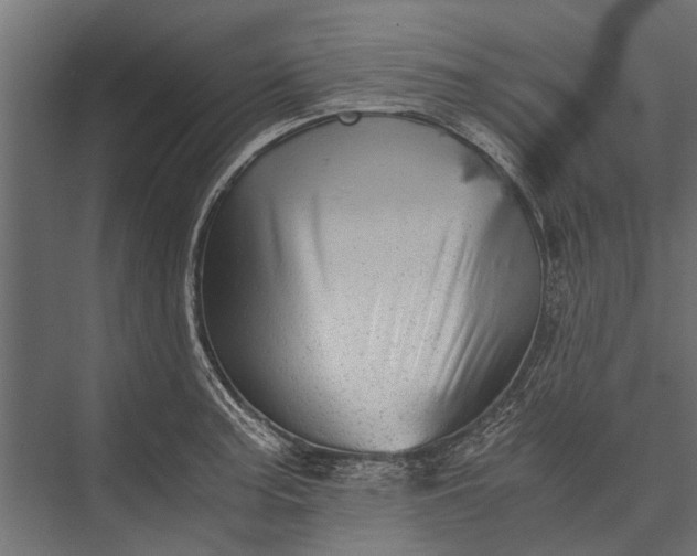 X0000076071187200610061554