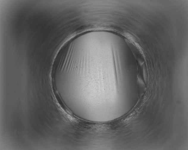 X0000076071189200610061554