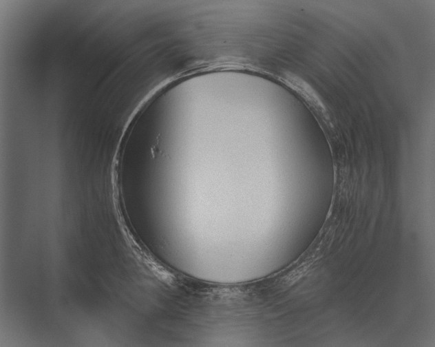 X0000076071190200610061554
