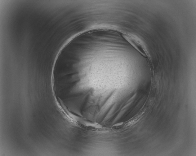 X0000076071199200610061554