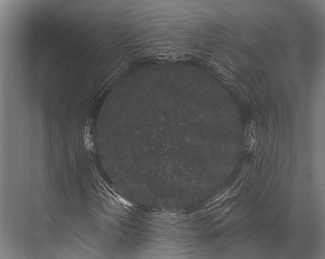 X0000076071202200610061553