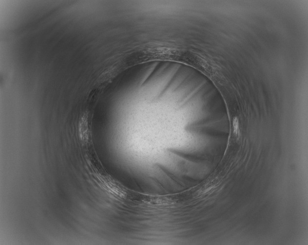 X0000076071203200610061553