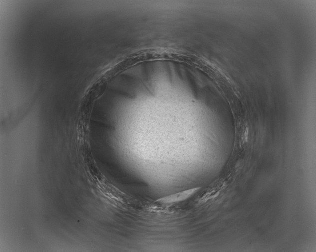X0000076071207200610061553