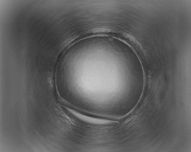 X0000076071217200610061553