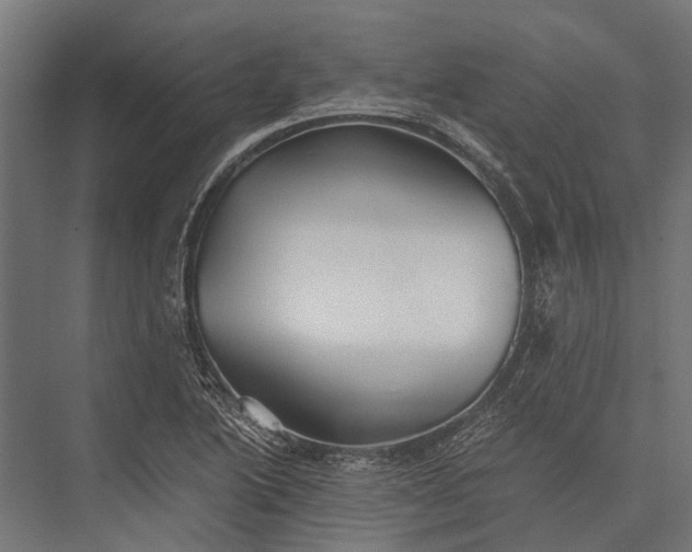 X0000076071222200610061553