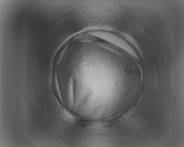 X0000076071228200610061553