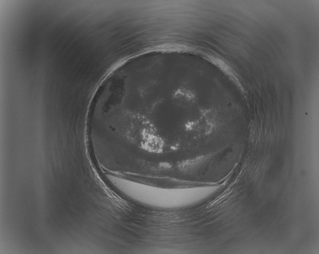 X0000076071229200610061553