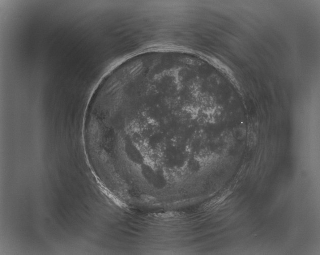 X0000076071231200610061553