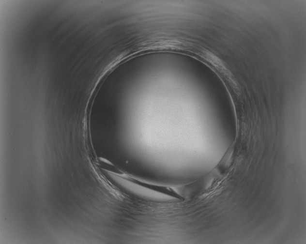 X0000076071234200610061554