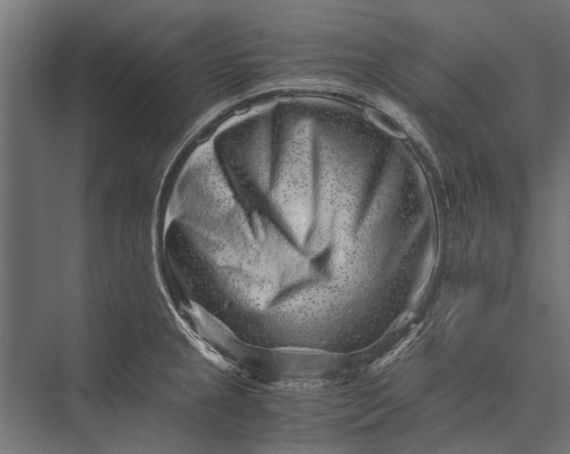 X0000076071237200610061554