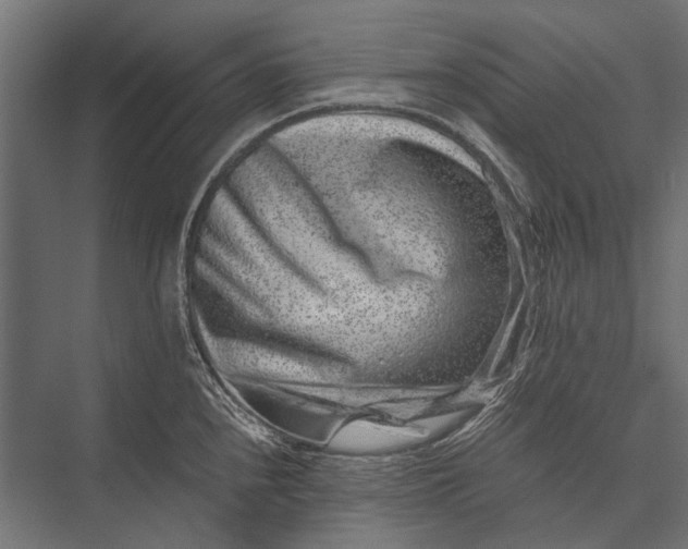 X0000076071240200610061554