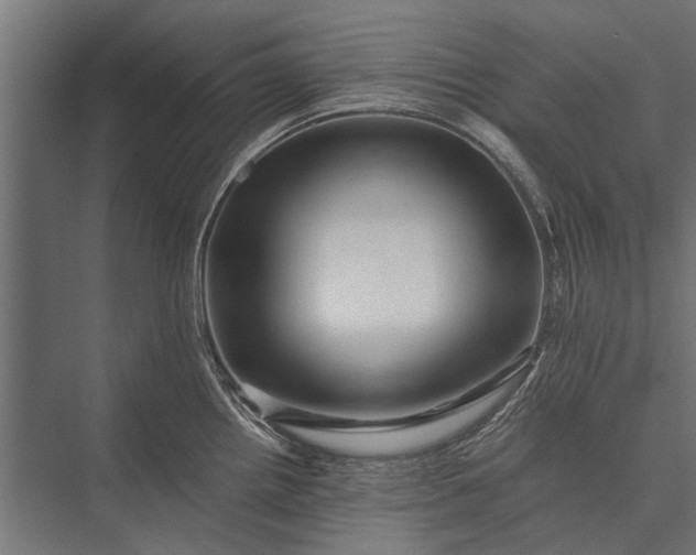 X0000076071242200610061554