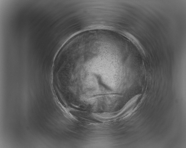 X0000076071244200610061554