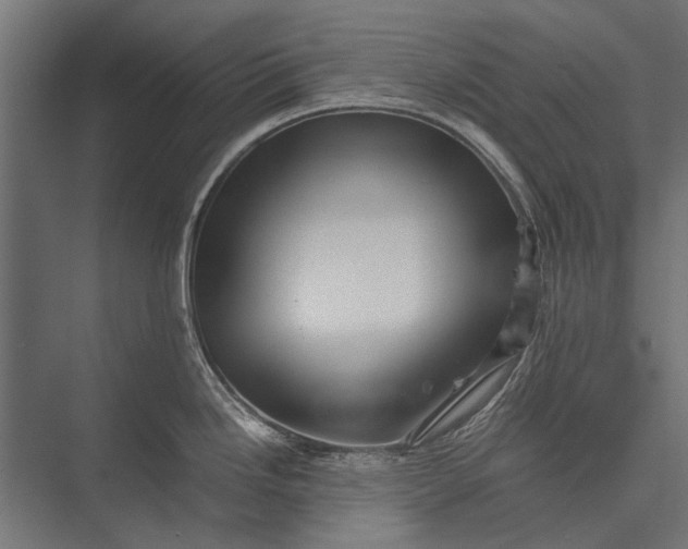 X0000076071246200610061554