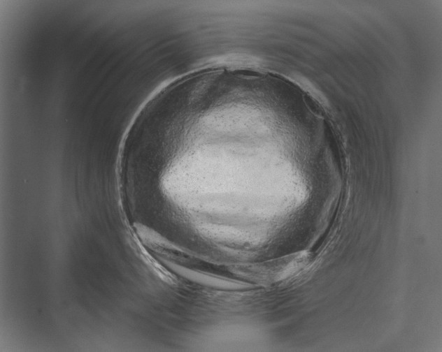 X0000076071248200610061554