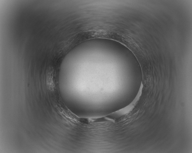 X0000076071250200610061553
