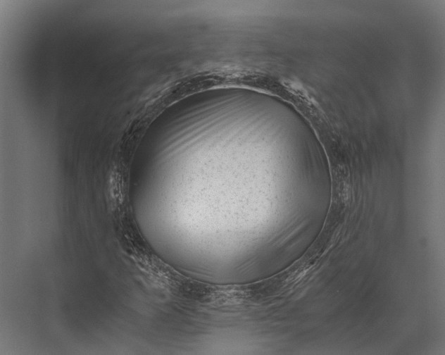 X0000076071253200610061553