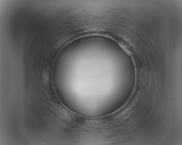 X0000076071257200610061553