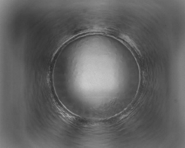 X0000076071260200610061553
