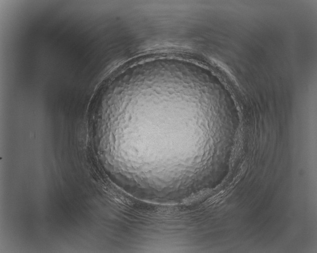 X0000076071267200610061553