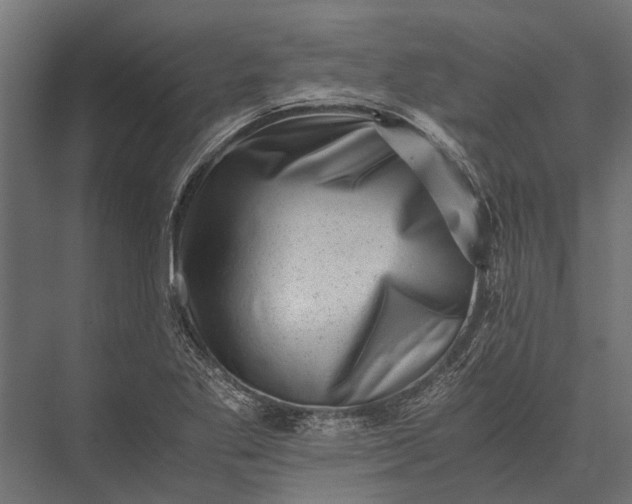 X0000076071269200610061553