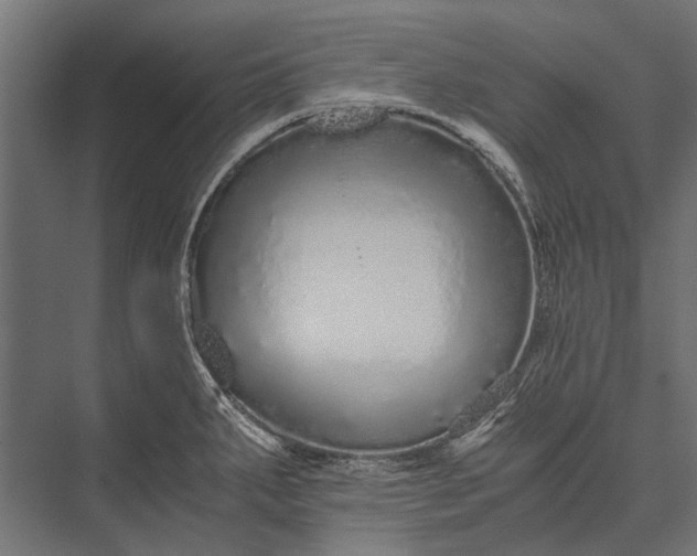 X0000076071287200610061552