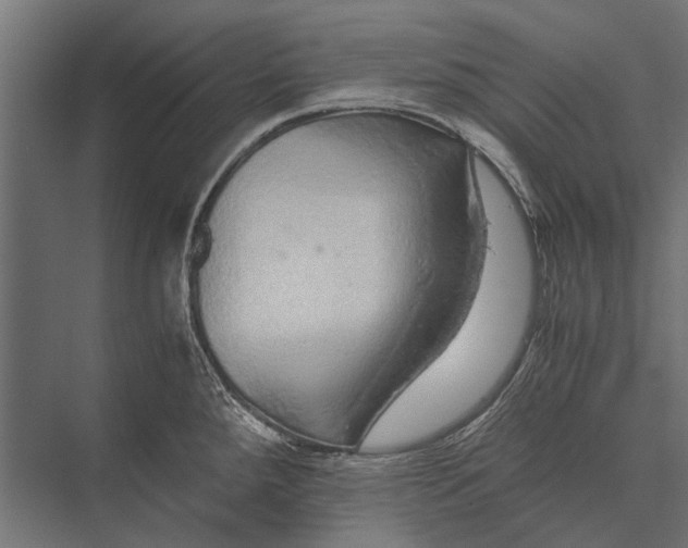 X0000076071288200610061552