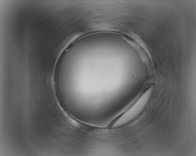 X0000076071293200610061552