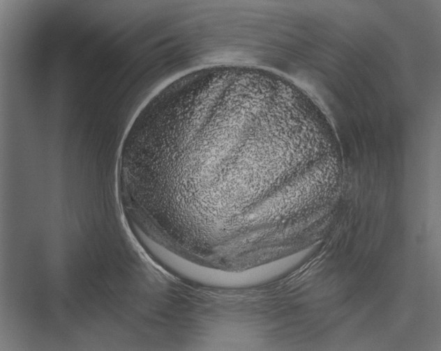 X0000076071295200610061552