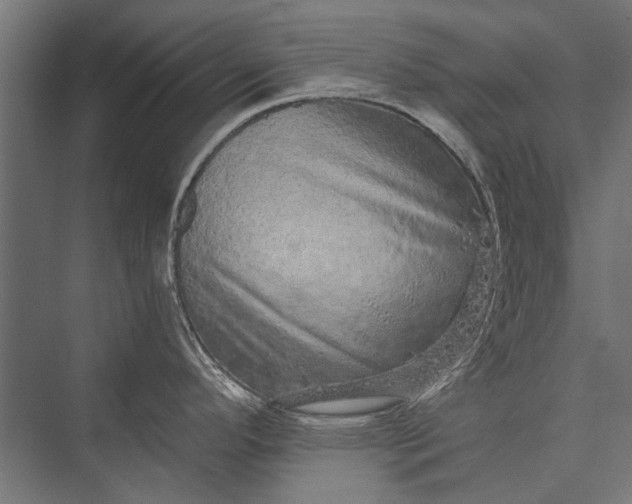 X0000076071296200610061552