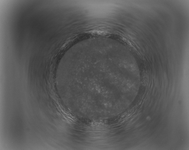 X0000076071297200610061551