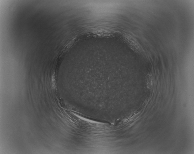X0000076071298200610061551
