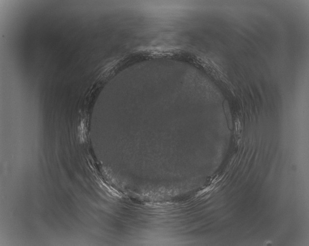 X0000076071300200610061551