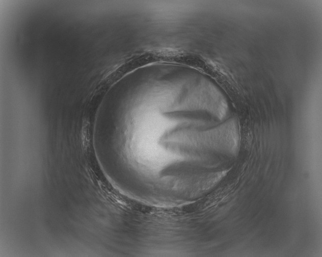 X0000076071301200610061551